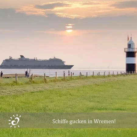 De Rootbost Am Deich Und Nordsee *